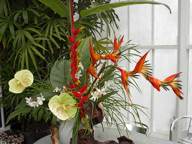 Conservatory of Flowers - Golden Gate Park, CA