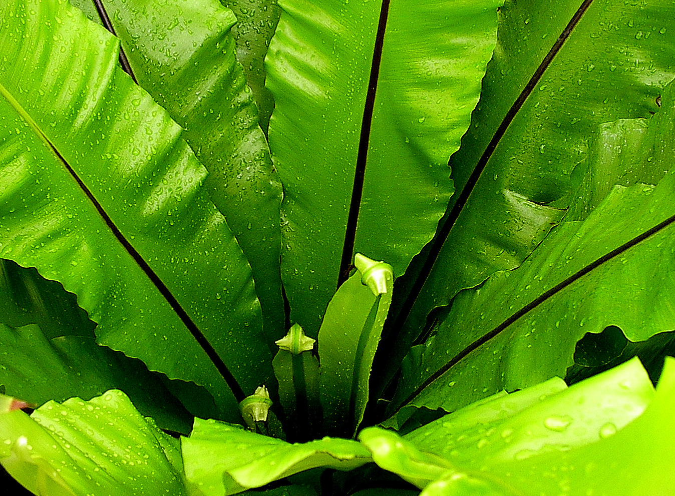 Featured Image-4