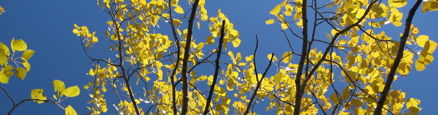 Featured Image-2